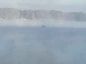 Read more about the article November 2025