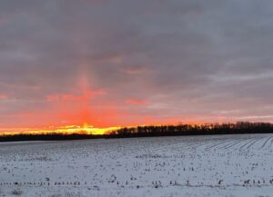 Read more about the article February 2026