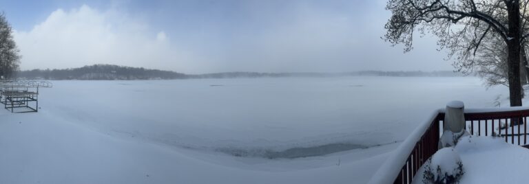 Read more about the article February 2026